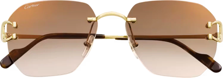 SIGNATURE C DE ca SUNGLASSES