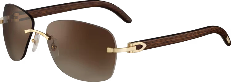 SIGNATURE C DE ca SUNGLASSES