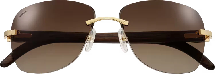 SIGNATURE C DE ca SUNGLASSES