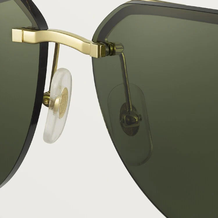 SIGNATURE C SUNGLASSES