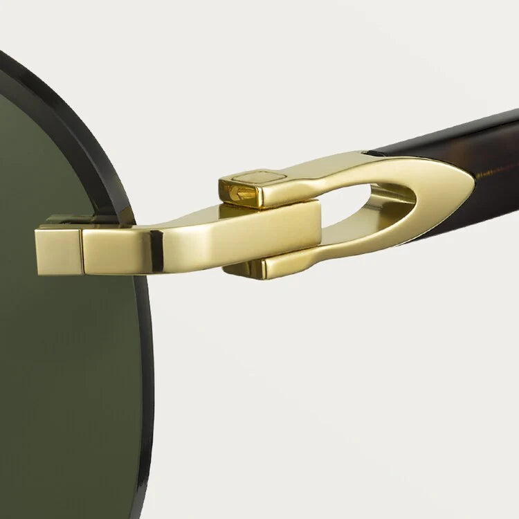 SIGNATURE C SUNGLASSES