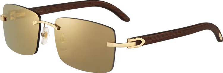 C DE ca SIGNATURE SUNGLASSES