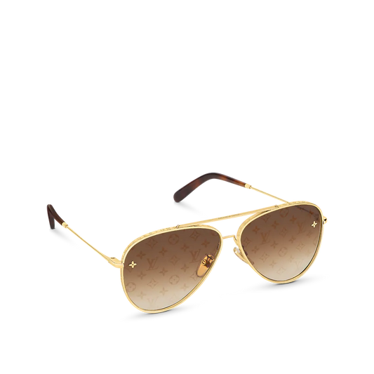 The Pilot Sunglasses